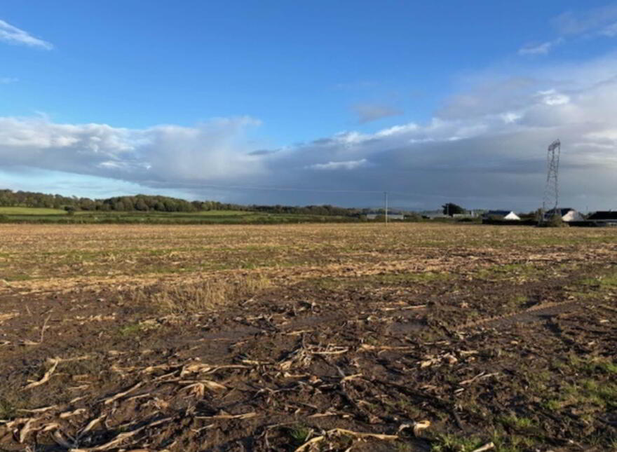 Drumminascart, Ballycommon, Nenagh