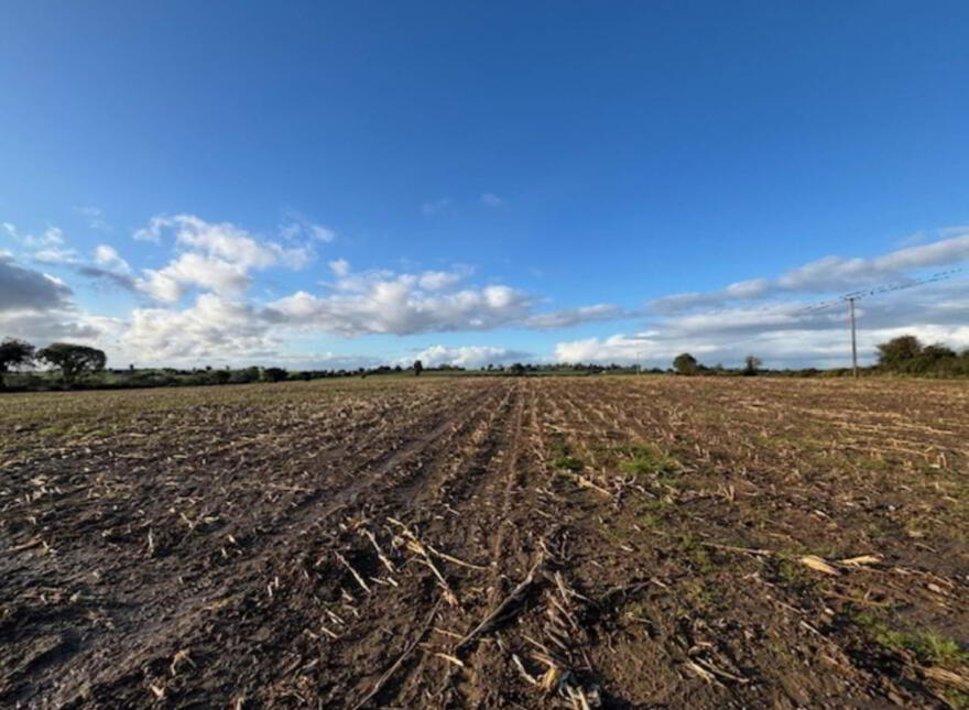 Drumminascart, Ballycommon, Nenagh