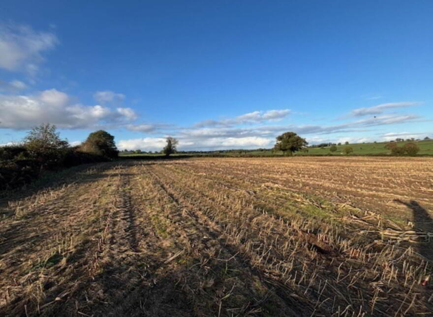 Drumminascart, Ballycommon, Nenagh