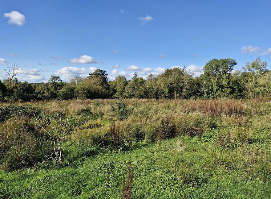 Ballinteskin, New Ross
