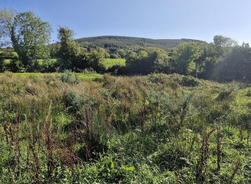 Ballinteskin, New Ross