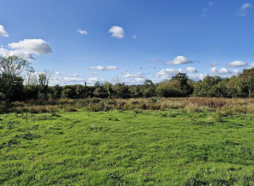 Ballinteskin, New Ross