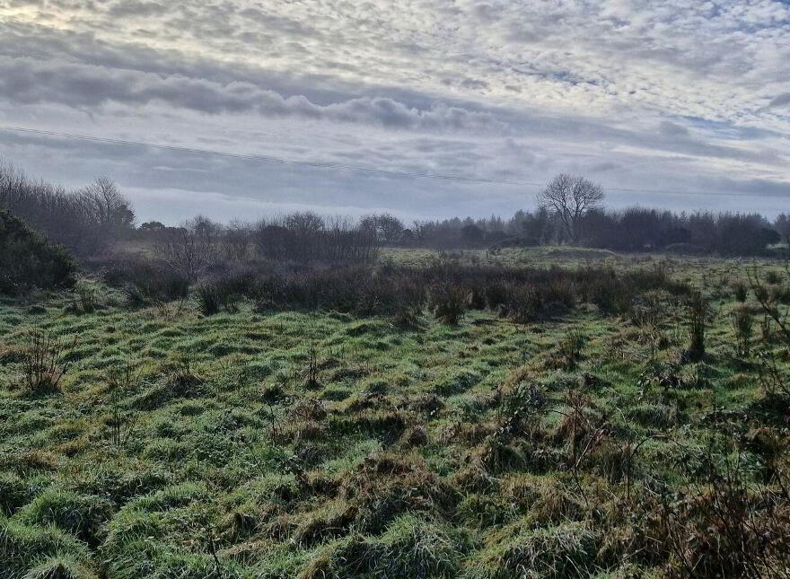 Kilmovee, Portlaw
