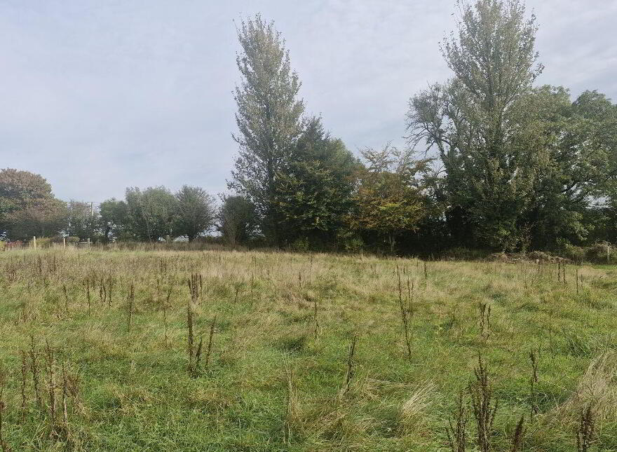 Inchacarran, Buckstown, Mullinavat