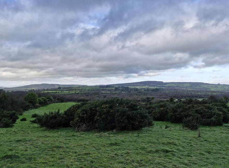 Corbally, Templeorum, Mullinavat photo