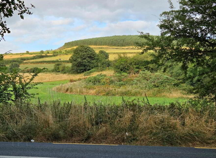 Ballykelly, New Ross, Y34FD85