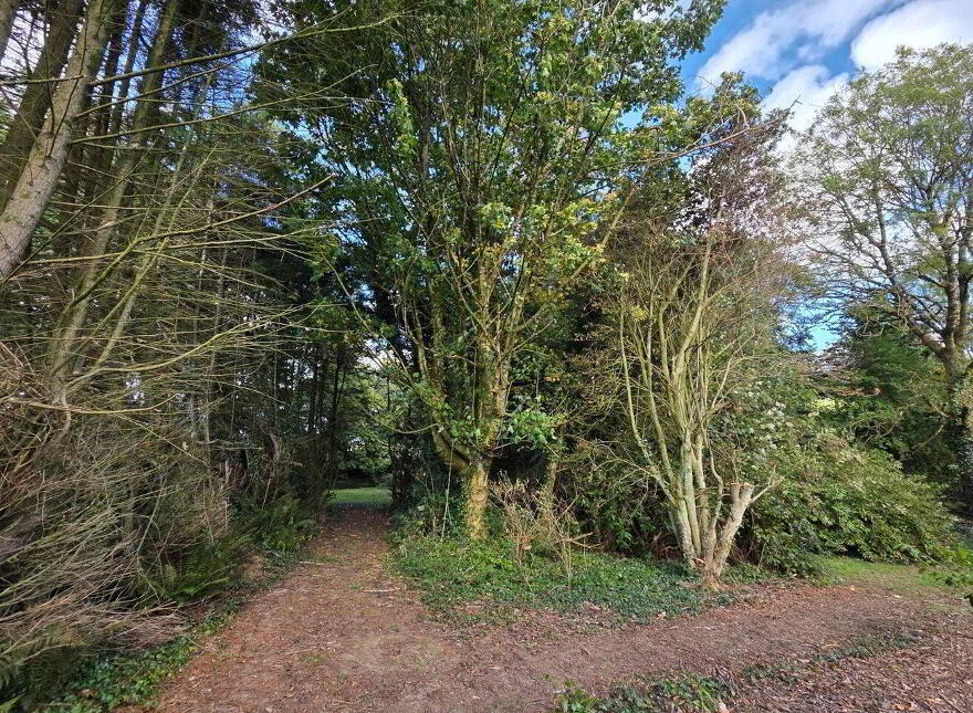 Ballykelly, New Ross, Y34FD85