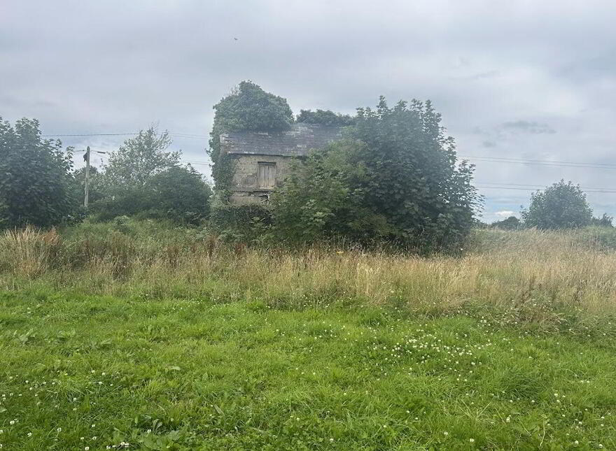 Moynagh Upper, Finnea