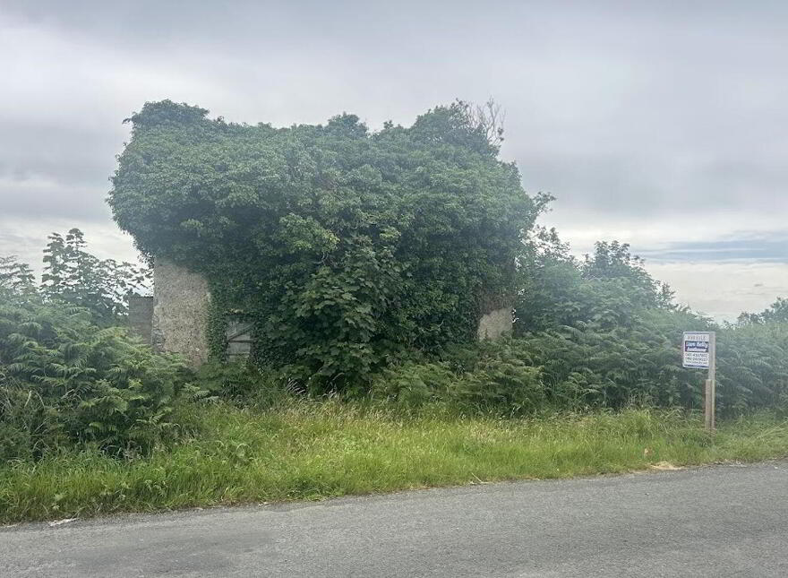 Moynagh Upper, Finnea