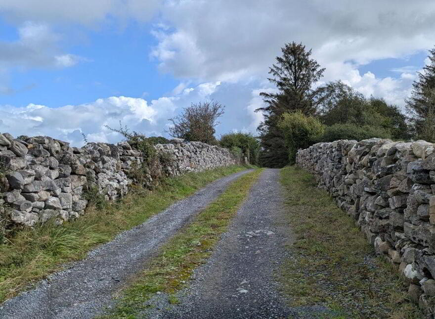 Cahernagry East, The Neale, Ballinrobe