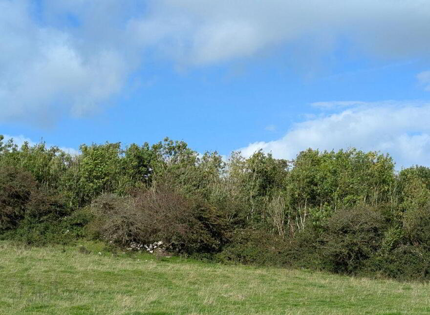 Cahernagry East, The Neale, Ballinrobe
