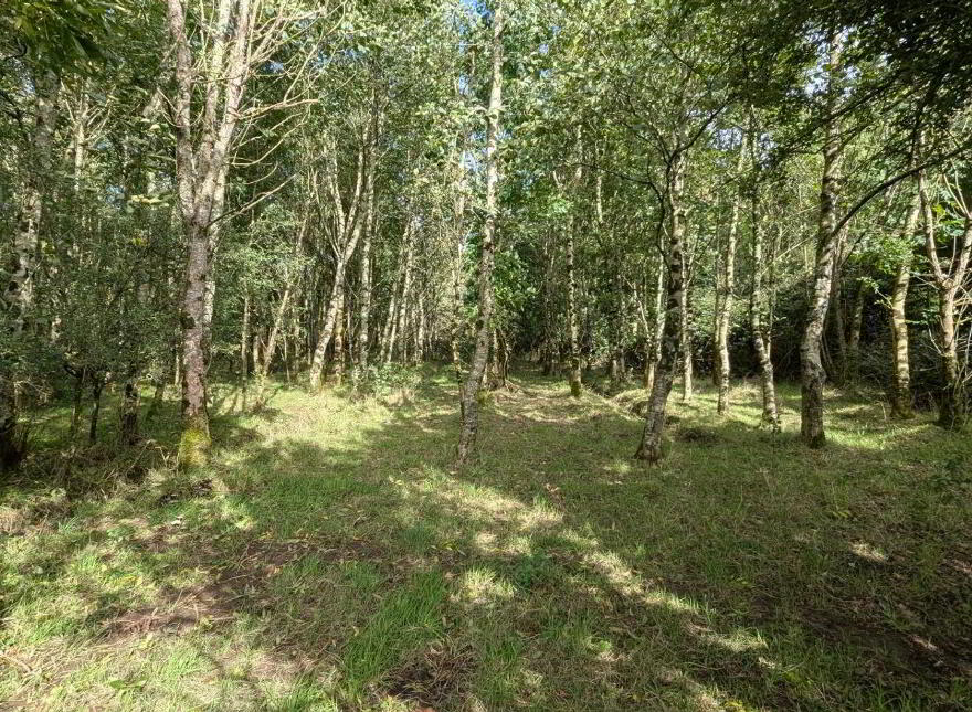 Cahernagry East, The Neale, Ballinrobe