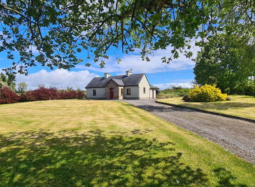 Cloonfinlough, Strokestown, Tulsk, F42ER88 photo