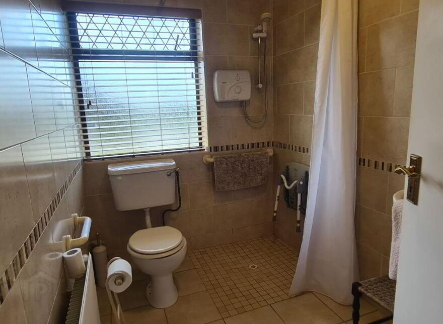 Viewmount, Longford Town, N39K0F1