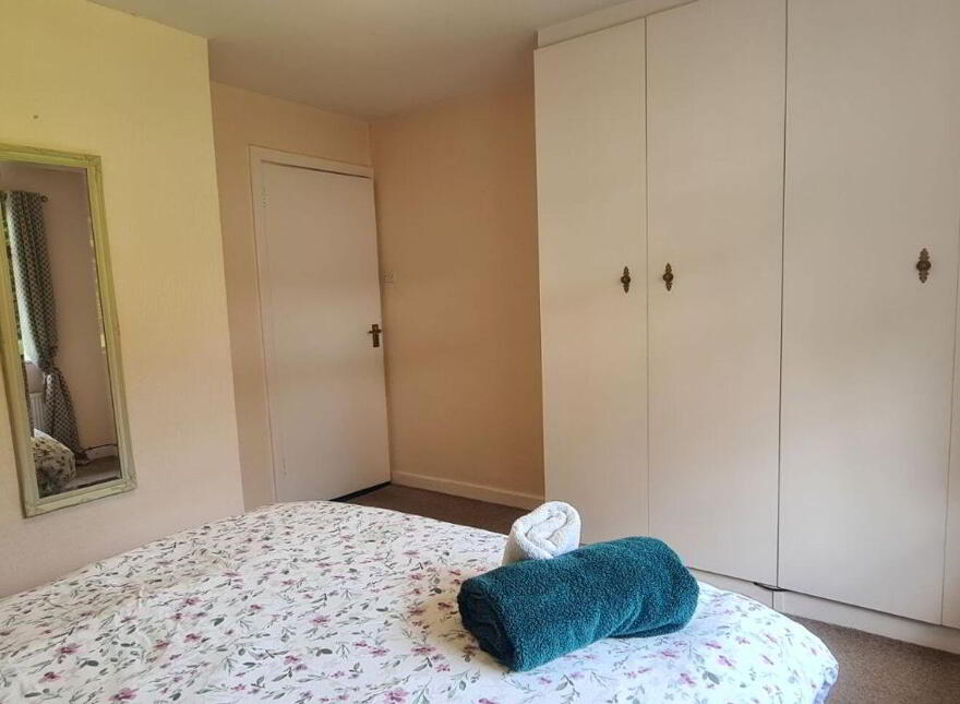 Viewmount, Longford Town, N39K0F1