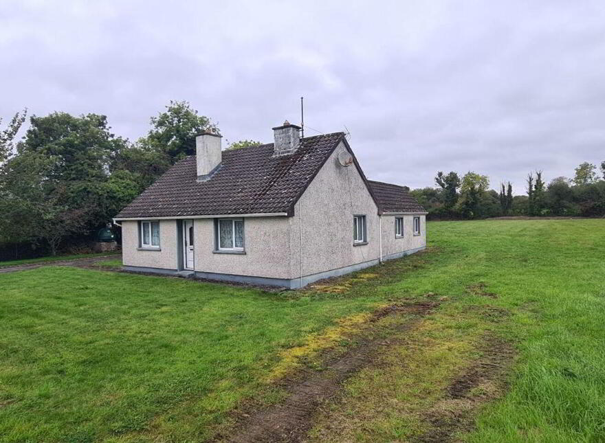 Cloonmore, Tarmonbarry, N39D932 photo