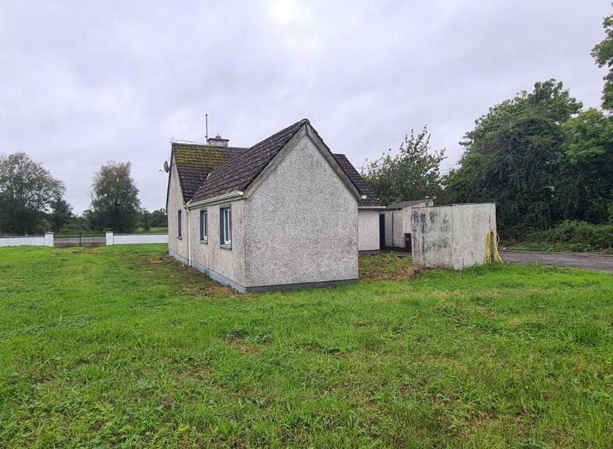 Cloonmore, Tarmonbarry, N39D932