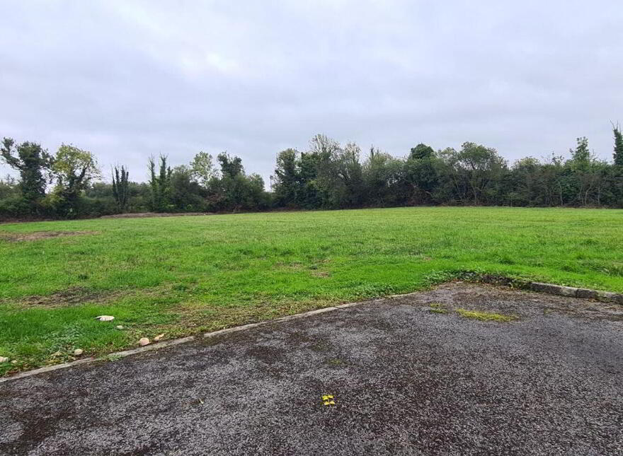 Cloonmore, Tarmonbarry, N39D932