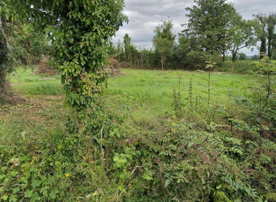 Drumard, Maggeraun, Dromod