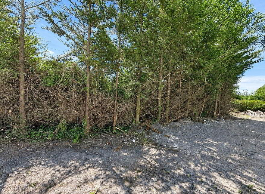 Rinnafarna, Roosky, Kilglass, N41E922