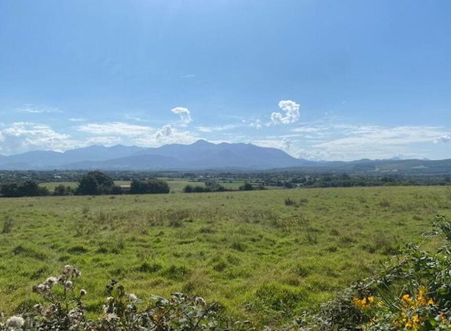 Laharn, Killorglin, V93R260