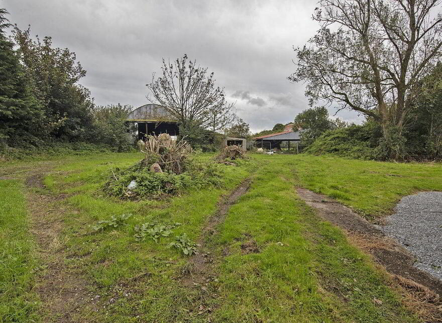 Parks Road, Lismore, P51NH31