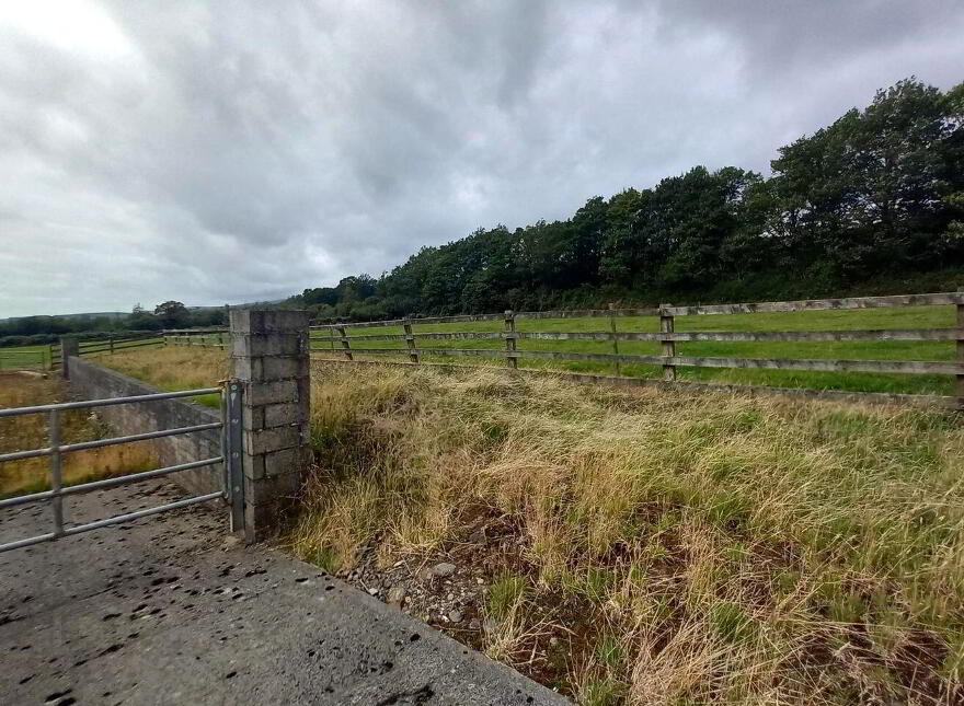 Woodhaven, Clonmore, Cahir, E21YV67