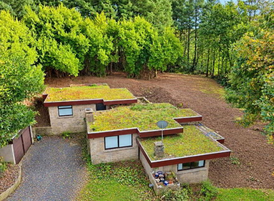 Unique Hideaway C. 2 Acres, Hollywood, W91W3P0