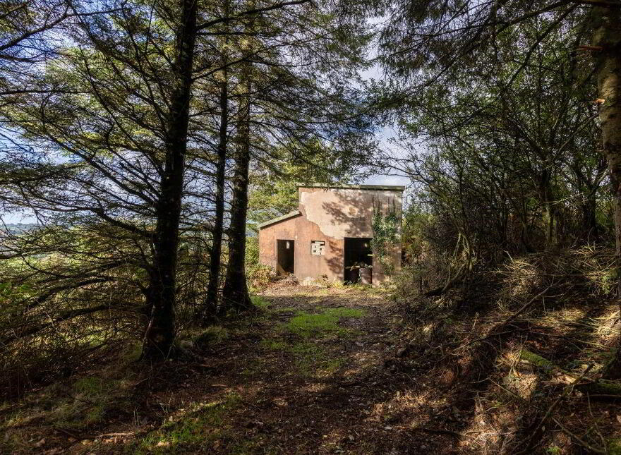 Unique Hideaway C. 2 Acres, Hollywood, W91W3P0