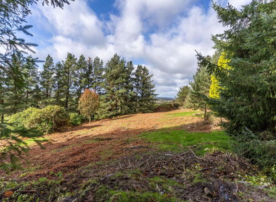 Unique Hideaway C. 2 Acres, Hollywood, W91W3P0