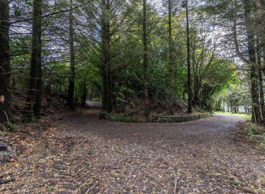 Unique Hideaway C. 2 Acres, Hollywood, W91W3P0