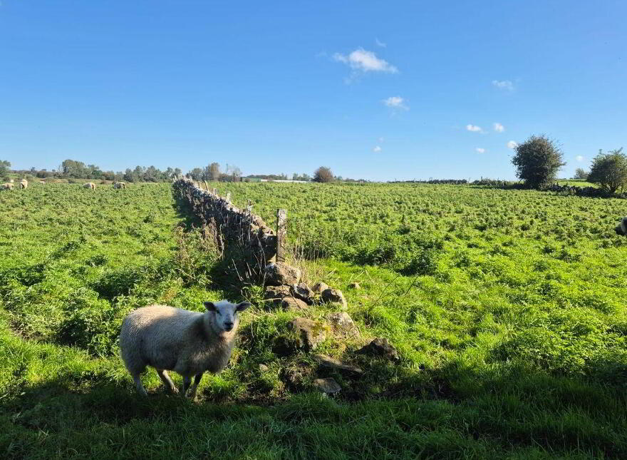 The Weirs, Tuam, H54TN20