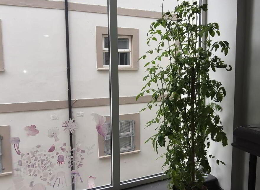 Apartment 10 The Moorings Millerd Street, Cork City Centre, T12PC91