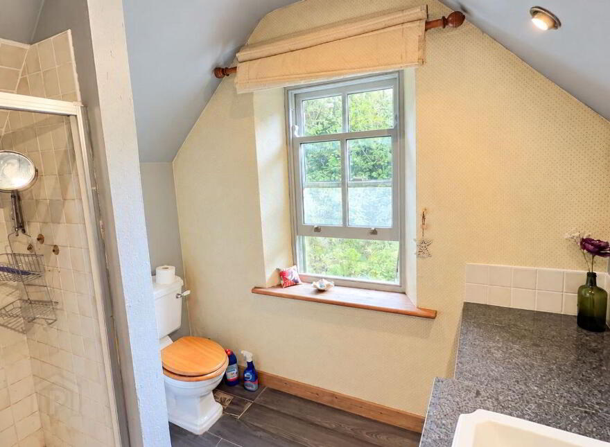 Caher, Ballinruan, Crusheen, V95R296