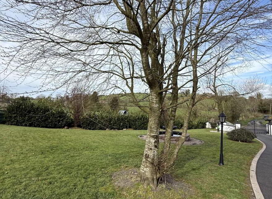 Drumgristin, Castleblayney, A75YC62