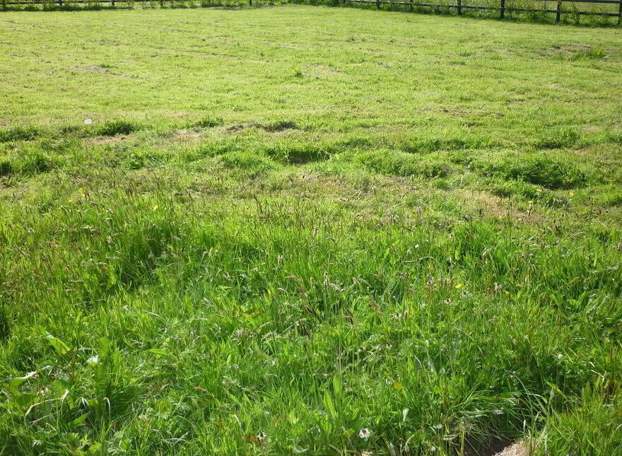 Park T, D Bellvue, Passage West