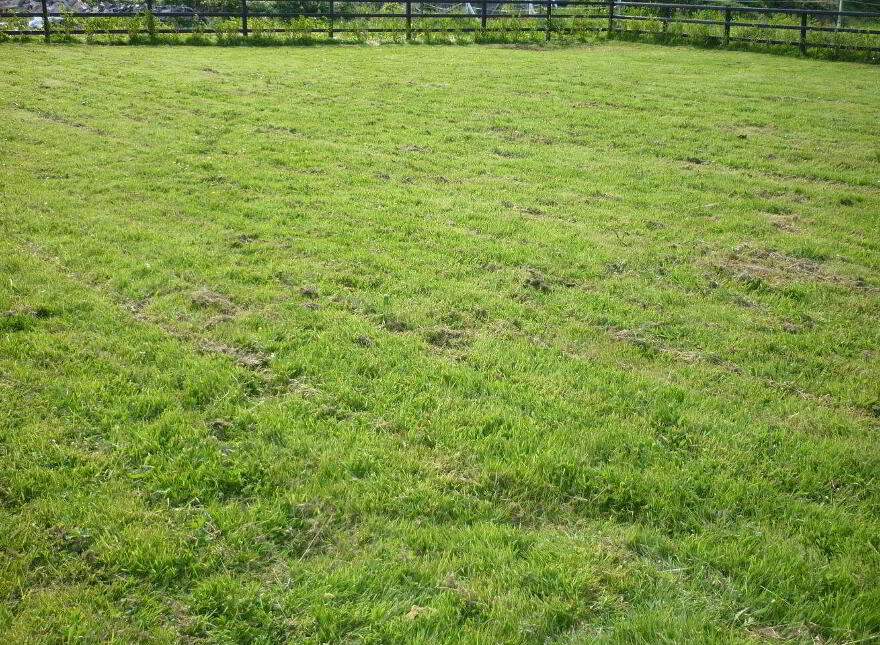 Park T, D Bellvue, Passage West