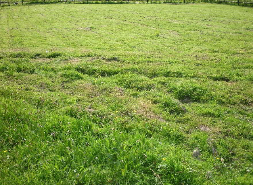 Park T, D Bellvue, Passage West