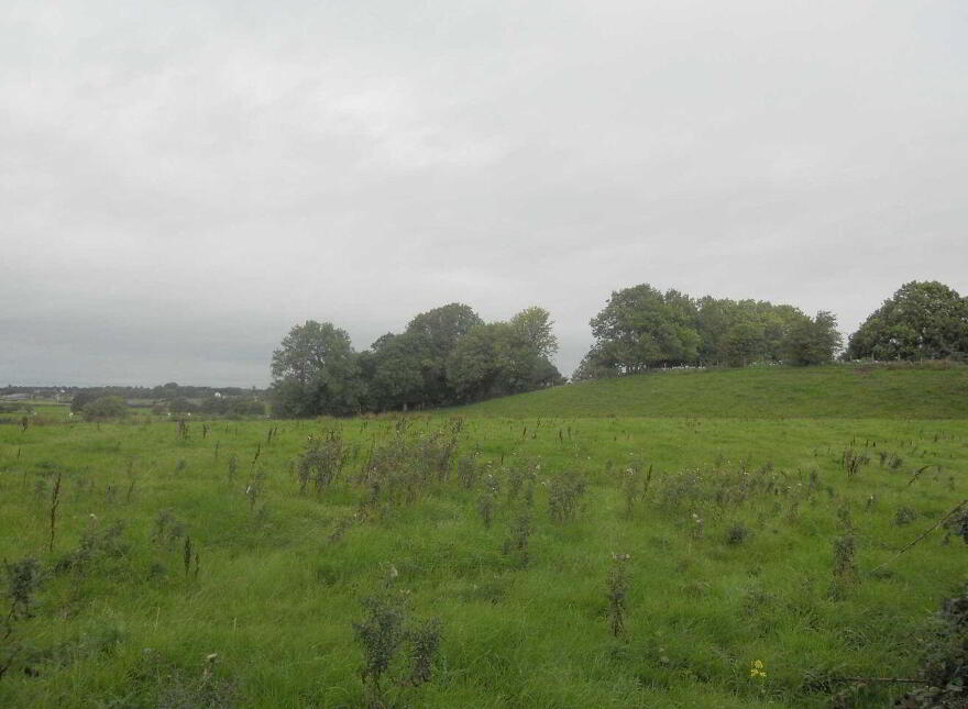 Grange Site, New Inn, Ballinasloe photo