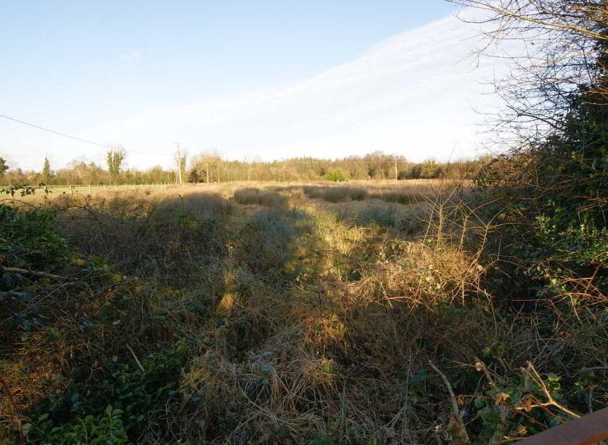Ballinlass, Mountbellew photo