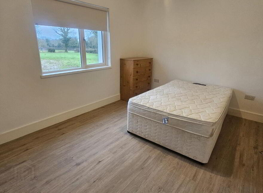 Ballylion, Curraghboy, N37TP94