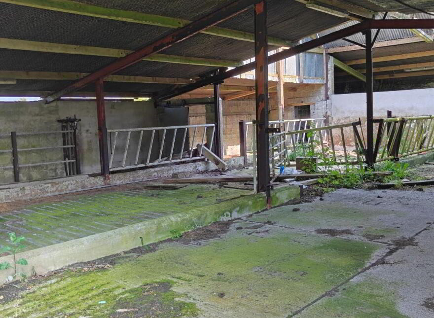Monagormley, Glenamaddy, Glenamaddy, H53P206