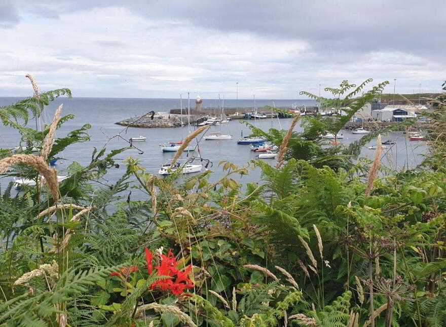Fishermans Grove, Dunmore East, X91AC92