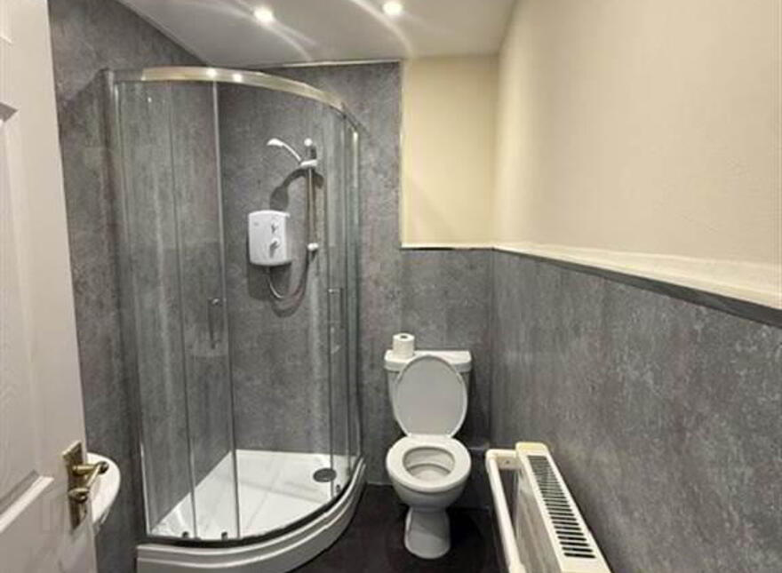Apt 3, 1 St Annes Lane, Belfast, BT10 0PP
