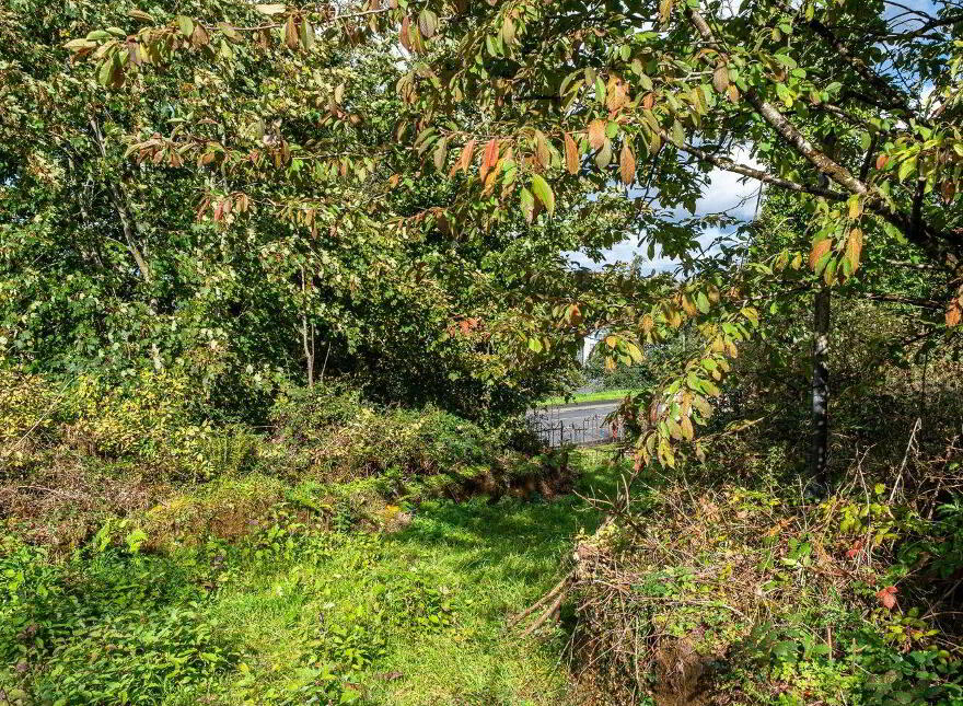 Tullylannagh, Folio Lm1975f, Drumsna, N41WY68