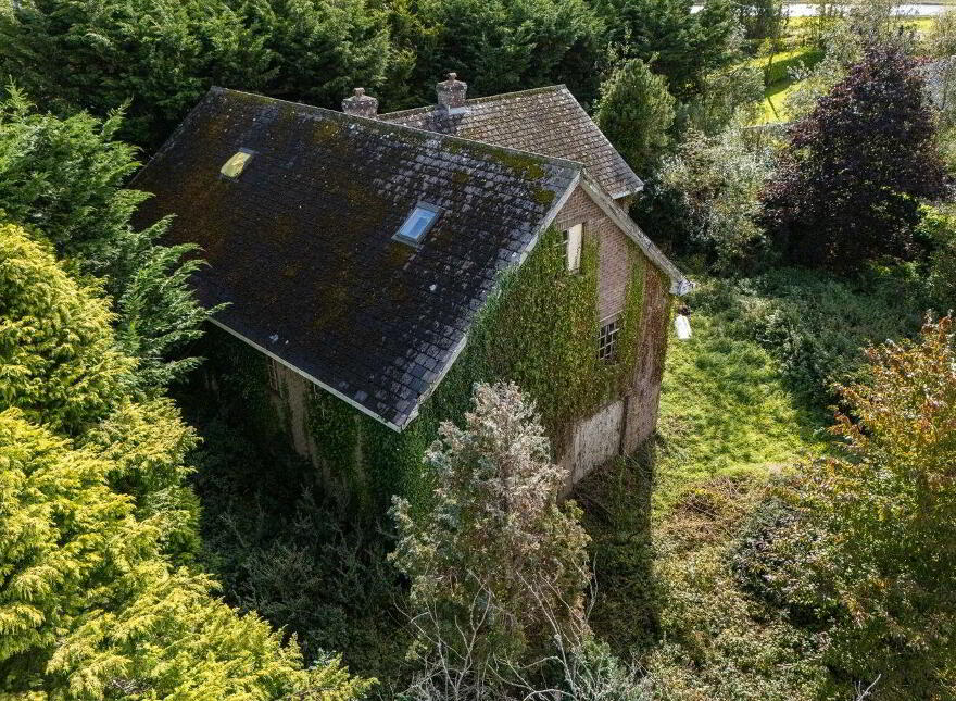 Tullylannagh, Folio Lm1975f, Drumsna, N41WY68