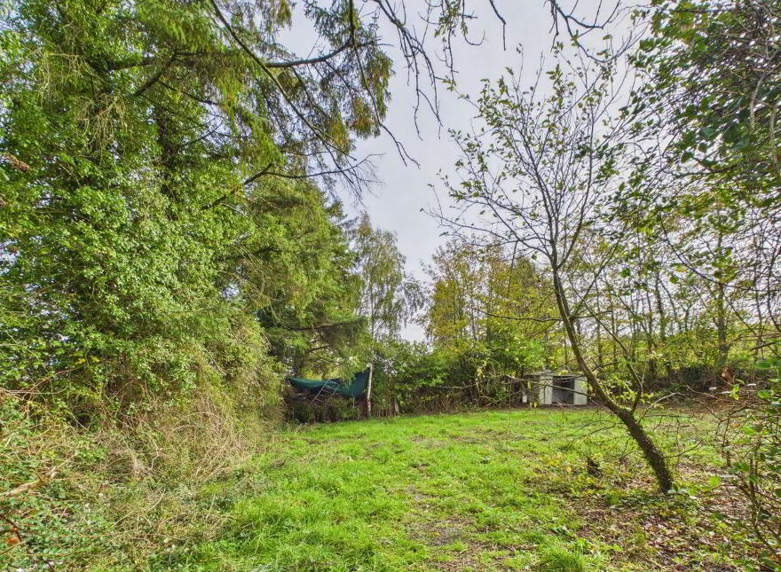 Tolerton, Ballickmoyler, Carlow Town