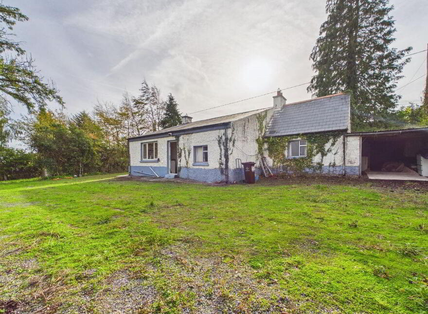 Tolerton, Ballickmoyler, Carlow Town