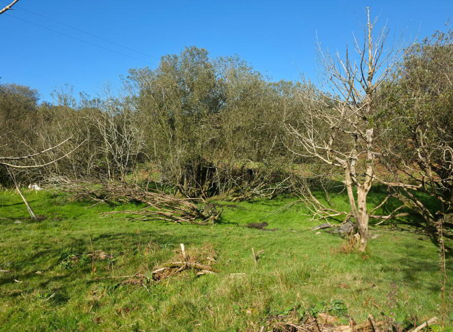 Drinishader, Trafrask West, Adrigole, P75PR22