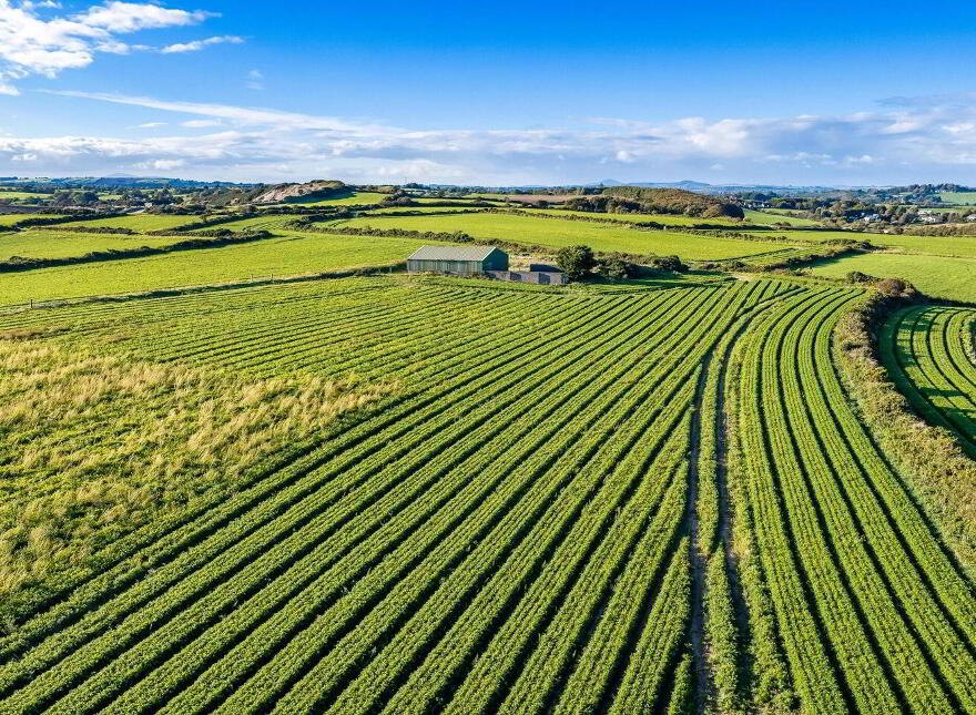 Ballinamona, Kilmuckridge, Kilmuckridge, Y25A266
